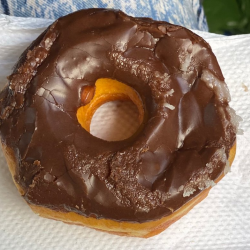 Chocolate Donut 