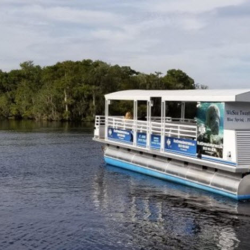 St. Johns River Nature Cruise