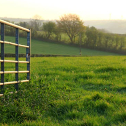 Fencing and Gates