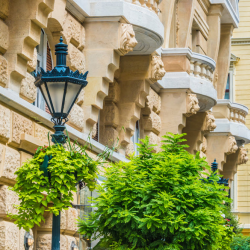 Commercial Pest Control