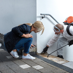 Pest Prevention Consultations
