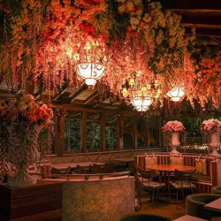 Exquisite Dining Experience