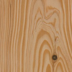 Douglas Fir