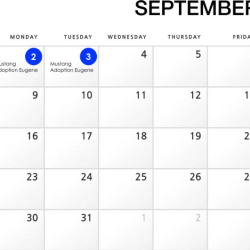 Community Activity Calendar