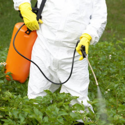 Pest & Weed Control Solutions