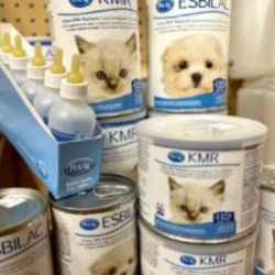 Companion Animal Products