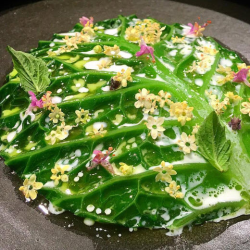 Vegetarian and Vegan Menus