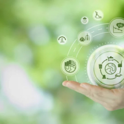 Environmental Impact Assessment