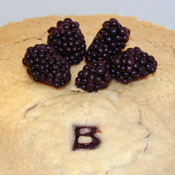 Blackberry Pie