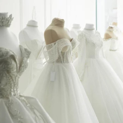 Bridal Gown Selection