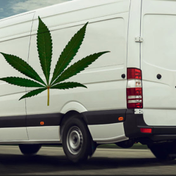 Cannabis Transport