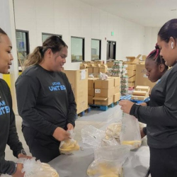 Volunteer Opportunities