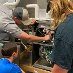 Apprenticeships