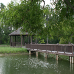 Gazebo & Boardwalk