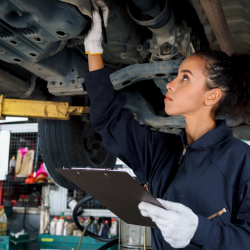 Vehicle Inspections