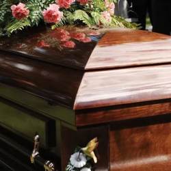 Traditional Services