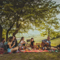 Community Picnic Area