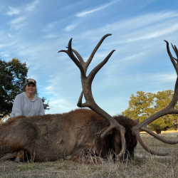 Elk hunts