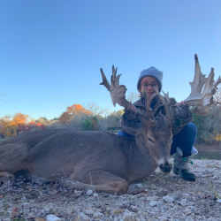 Whitetail Hunts