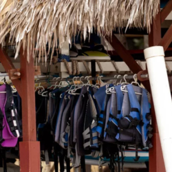Paddle and Life Jacket Rentals
