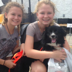 Pet Food Pantry