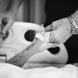 Palliative Care