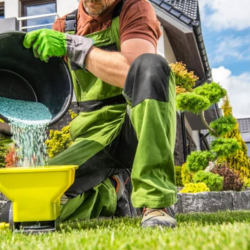 Lawn Care and Maintenance