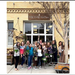 Interior Design Guidance