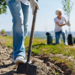 Humanitarian Initiatives