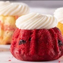 Bundtinis® by the Dozen
