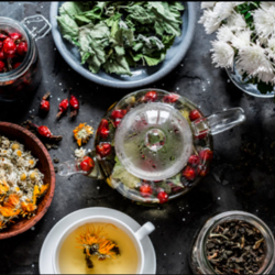 Healthy Immune Support Protocol