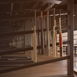 Bachelor & Bachelorette Parties