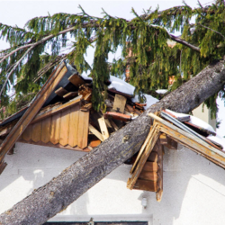 Storm Damage Restoration