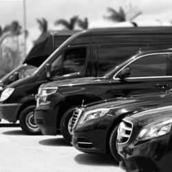 Transportation and Shuttle Services