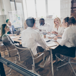 Market Research and Analysis