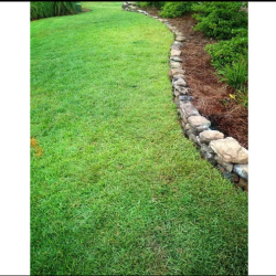 Lawn Drainage