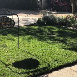 Sod Installation and Turf Management