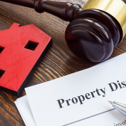 Property Dispute Resolution