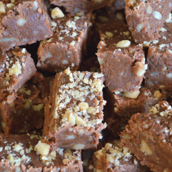 Handmade Fudge Sampler