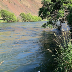 Lower Deschutes River Day Trips