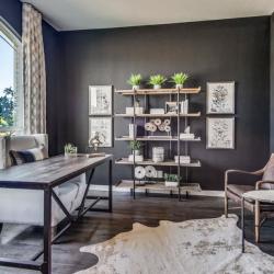 Luxury Master Suites