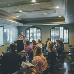Consulting & Workshops