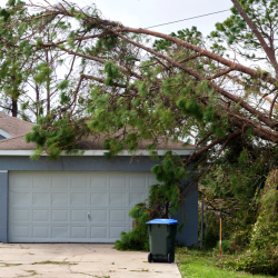 Emergency Storm Damage 