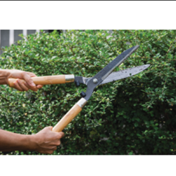 Tree Pruning