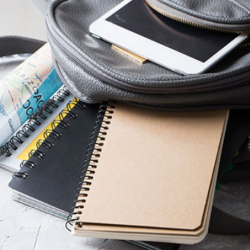 Enrollment and Immunizations