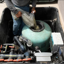 Chemical Only Maintenance