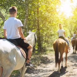 Equestrian Activities