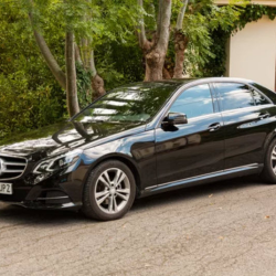 Premium Wax & Polish