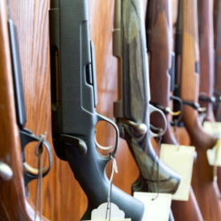 Firearm Sales and Consultation