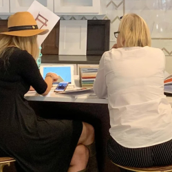 Design Consultations